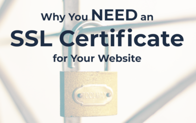 Why You Need an SSL Certificate for Your Website